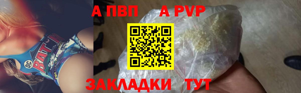 Альфа ПВП СК Можга