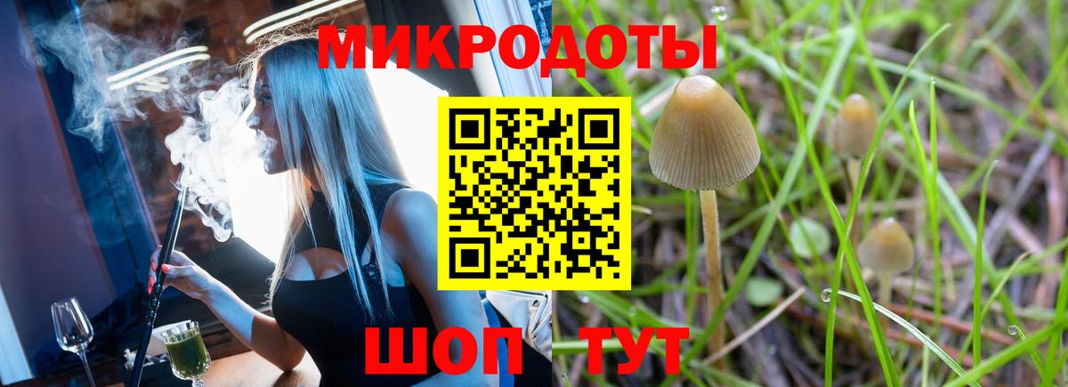 Псилоцибиновые грибы мухоморы  Вход с VPN  наркотики  Псилоцибиновые грибы GOLDEN TEACHER  Можга 