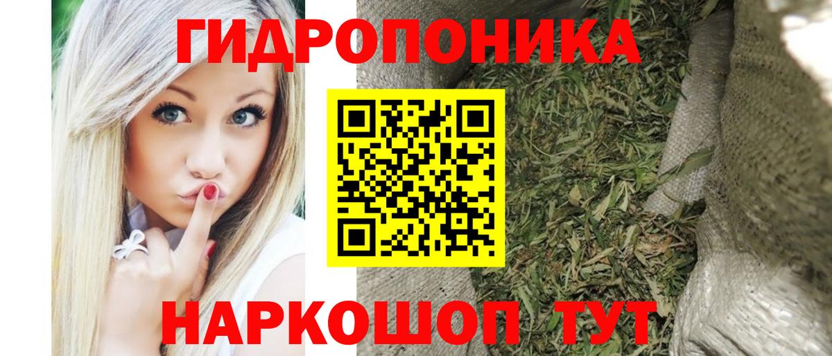 Бошки марихуана OG Kush Можга
